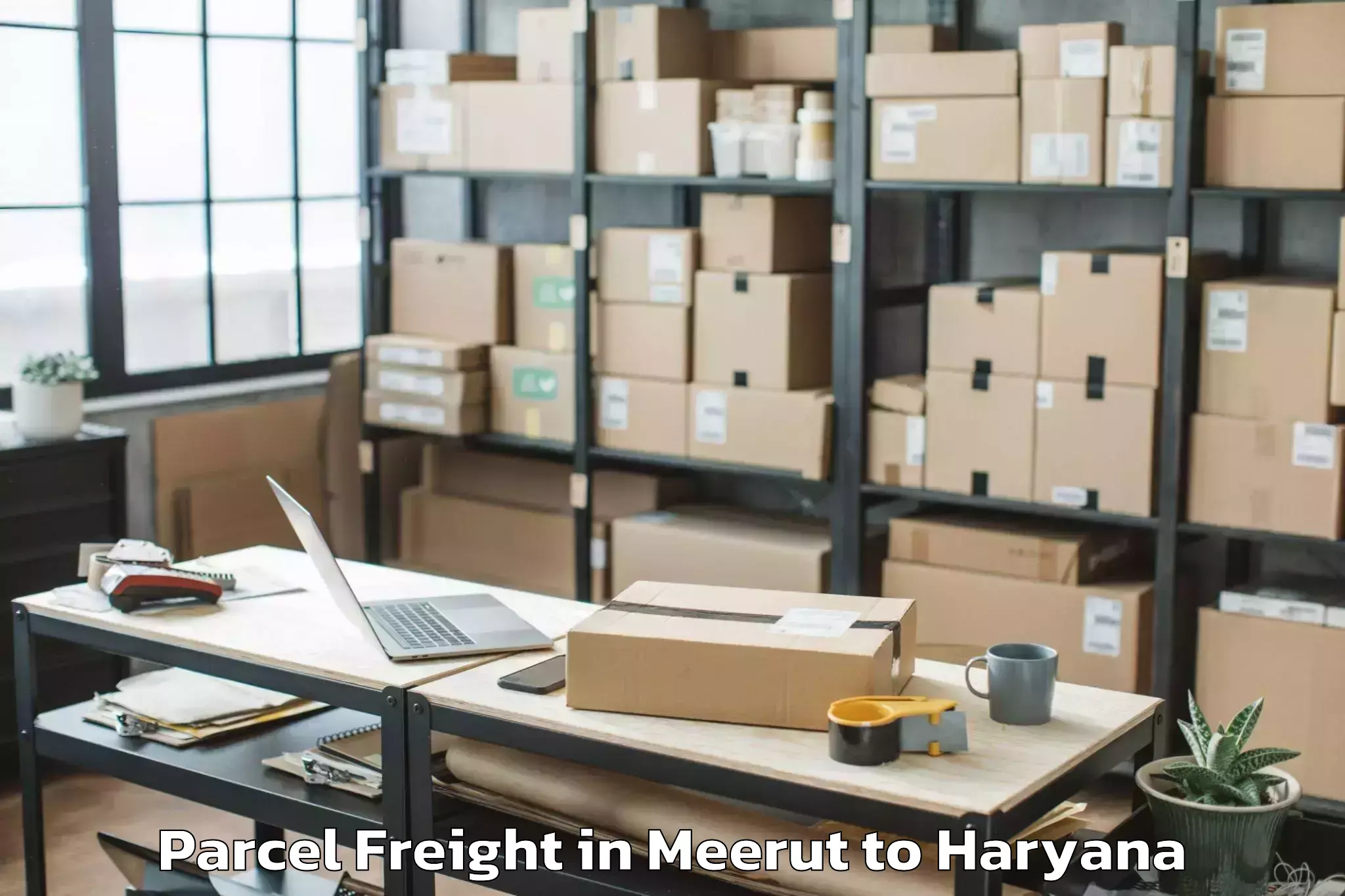 Easy Meerut to Bahadurgarh Parcel Freight Booking